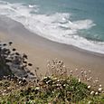 Cornwall_october_30_img_4148