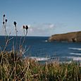 Cornwall_october_12_img_4293