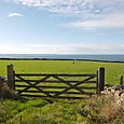 Cornwall_october_32_img_4140