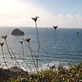 Cornwall_october_9_img_4296