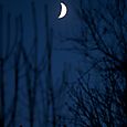 Environs_30_img_4748