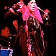 Lene lovich 4