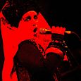 Lene lovich 8