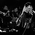 Lene lovich 11